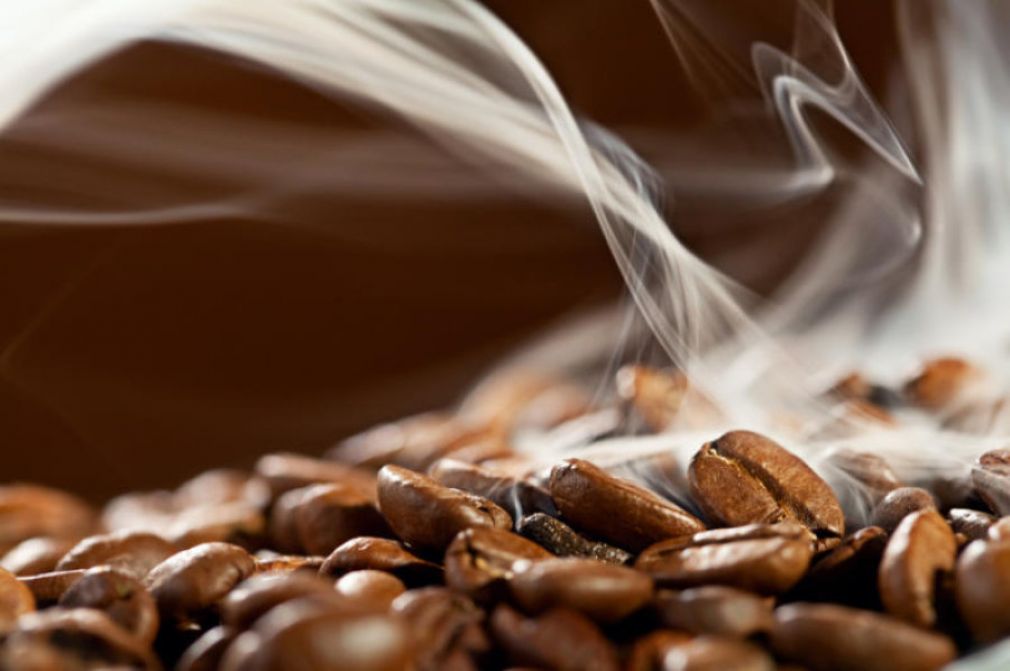 Which Coffees are Highest in Antioxidants?