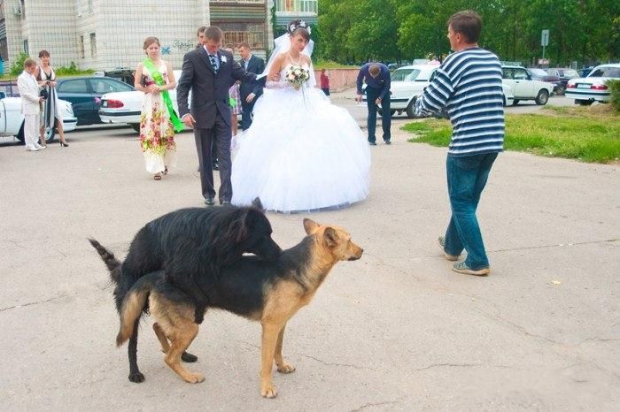 Vjenčanja i nezgodni trenuci